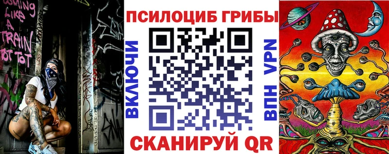 где продают наркотики Алатырь Галлюциногенные грибы MAGIC MUSHROOMS