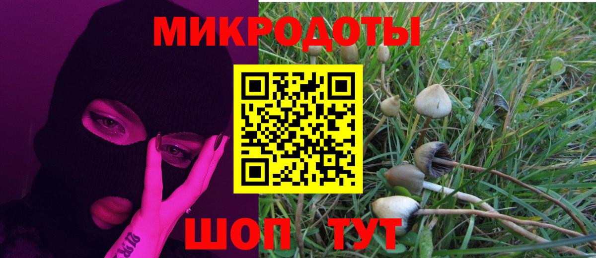 Алатырь  Псилоцибиновые грибы MAGIC MUSHROOMS  закладки  Вход с VPN 